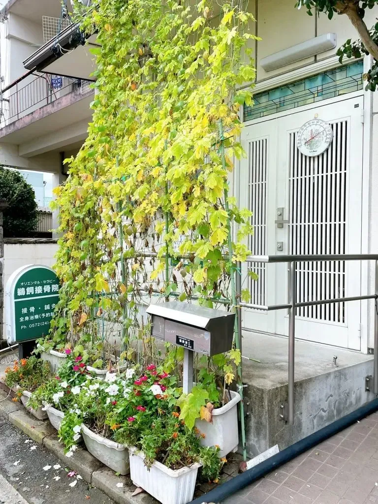 お客様が安心して利用可能に～｜鵜飼接骨院