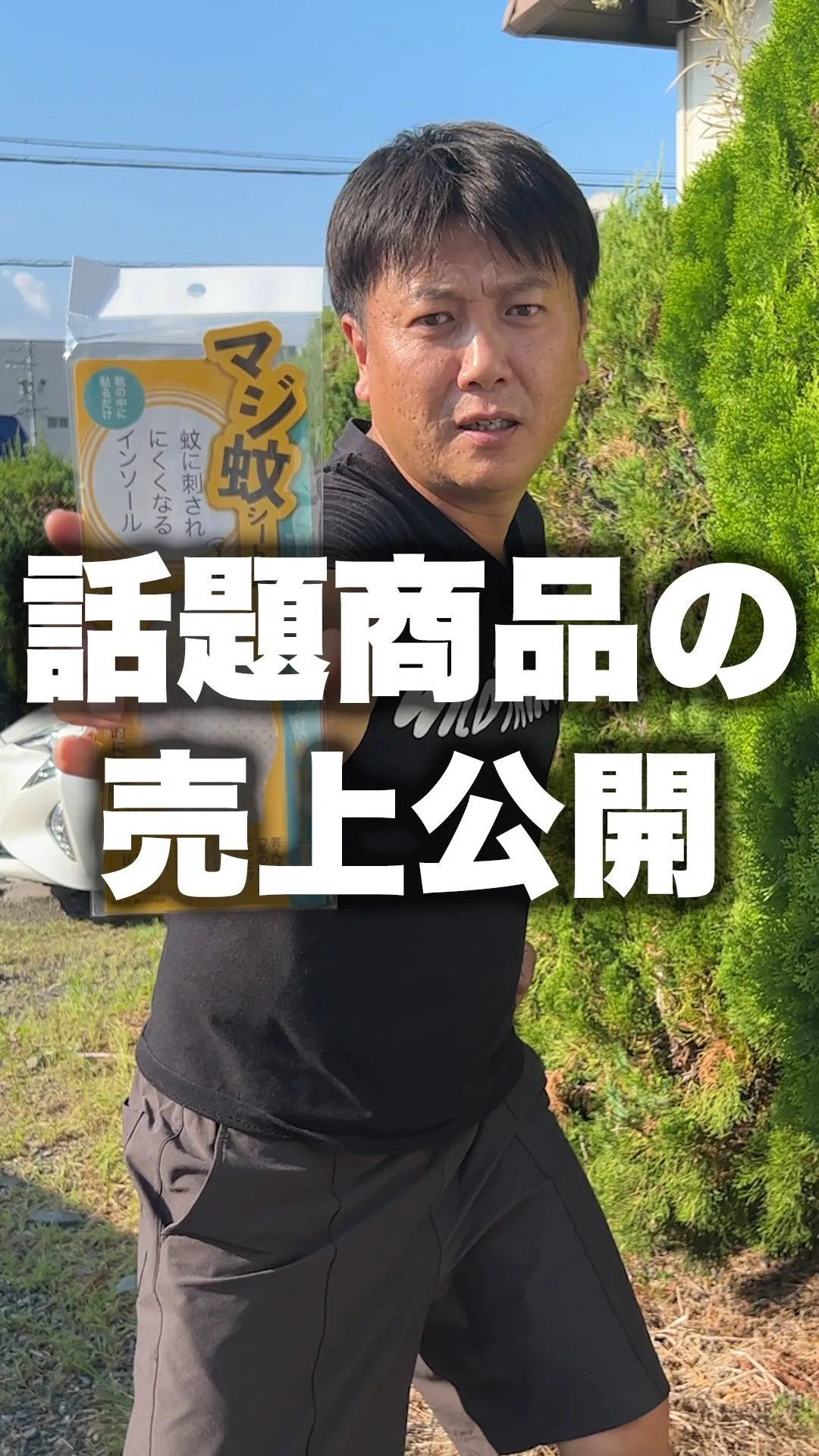 靴に入れるだけで、蚊に刺されにくくなる。