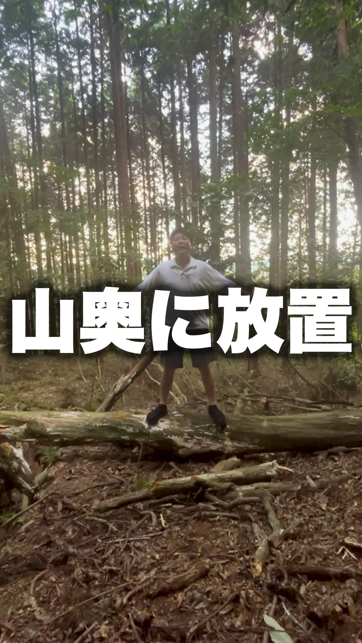 靴に入れるだけで、蚊に刺されにくくなる。