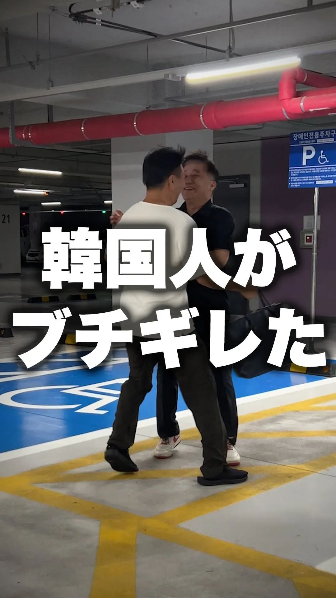 靴に入れるだけで、蚊に刺されにくくなる。